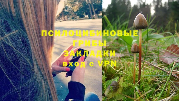 СК Слюдянка