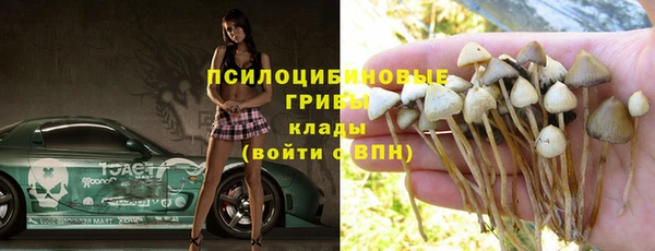 PSILOCYBIN Горняк